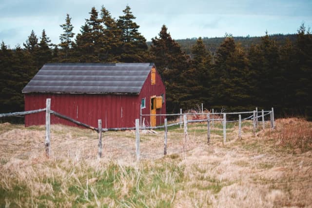 Jakie kary grożą za mieszkanie w budynku gospodarczym bez zgody? Jakie kary grożą za mieszkanie w budynku gospodarczym bez zgody?