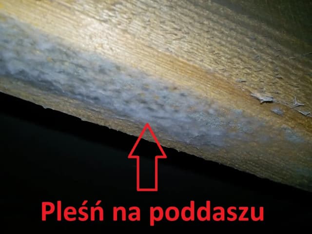 Ile czasu ma deweloper na usunięcie usterki? Poznaj swoje prawa