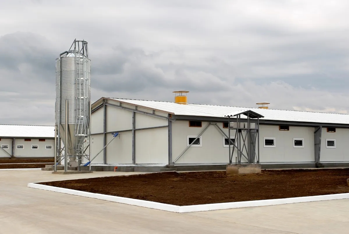 Jakie są przepisy dotyczące odległości chlewni od budynku mieszkalnego?